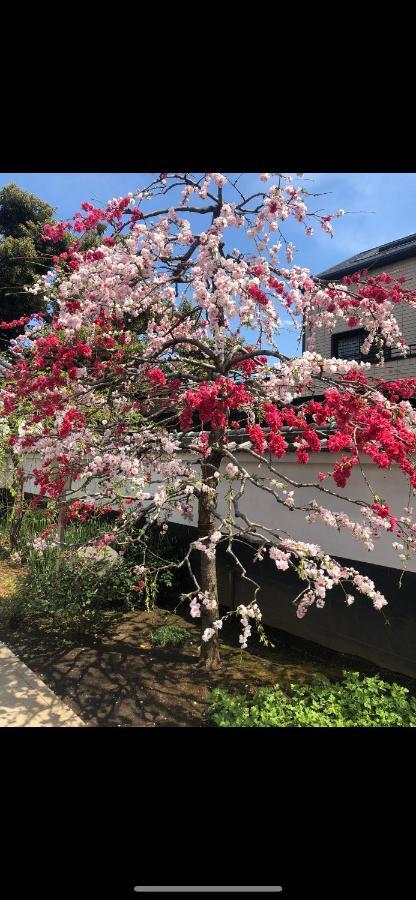 Apartamento 桜宿28 Square Meter King Size Bed With Sofa Bed, Garden Tóquio